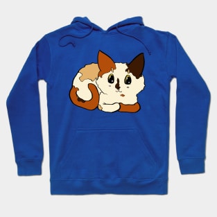 Shelter Cats - Calico Loaf Hoodie